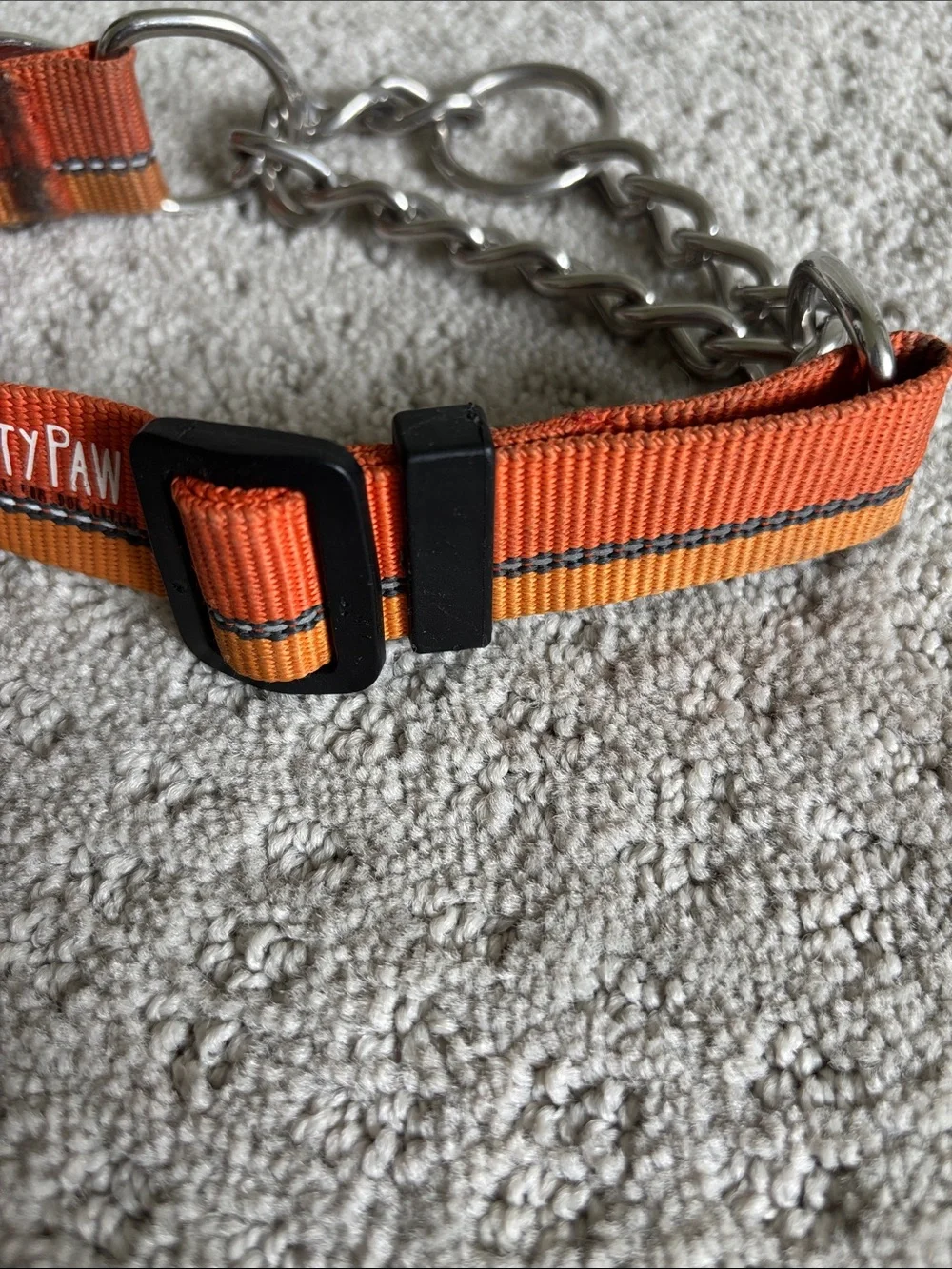 Orange Martingale Dog Collar with Chain